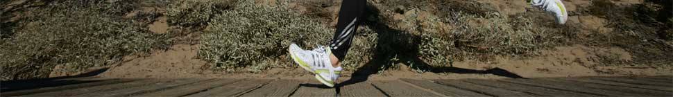 My ex-Boston Marathon 2010 header image 2